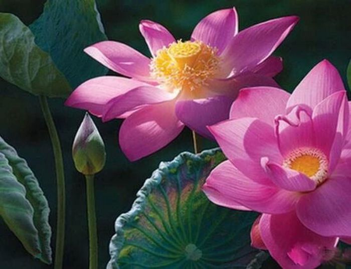 开悟前后有何区别? 开悟前后有何区别?