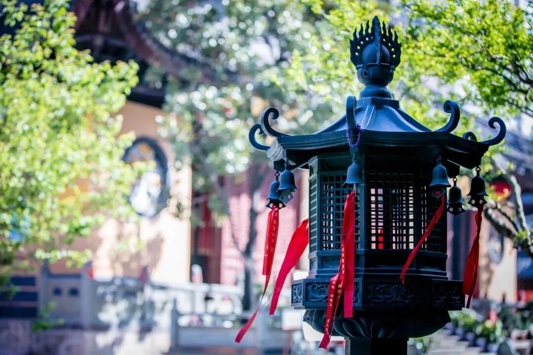 学佛要信心坚固长远心不退 学佛要信心坚固长远心不退