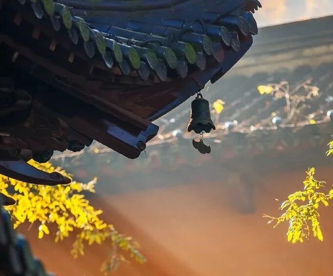 我们为什么会害怕死亡? 我们为什么会害怕死亡?