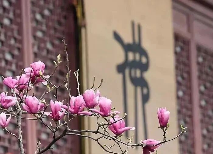 修行是为了活出更好的自己 修行是为了活出更好的自己