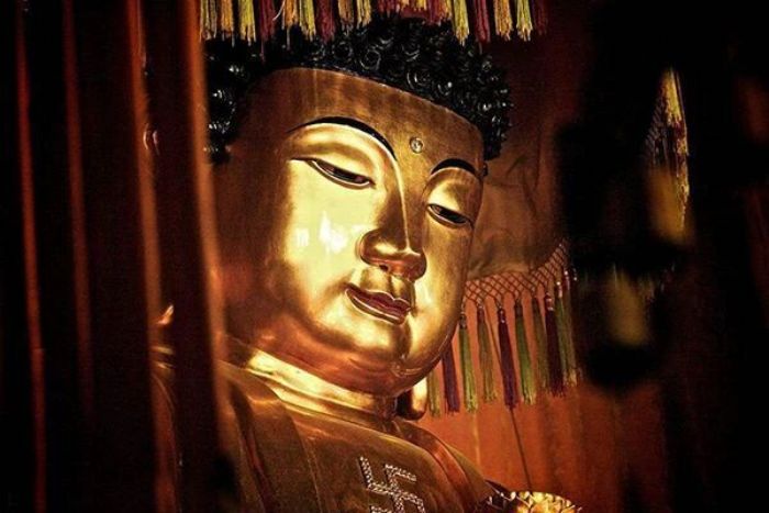 印光法师:为人子者,当以超凡入圣,了生脱死之道劝亲 印光法师:为人子者,当以超凡入圣,了生脱死之道劝亲