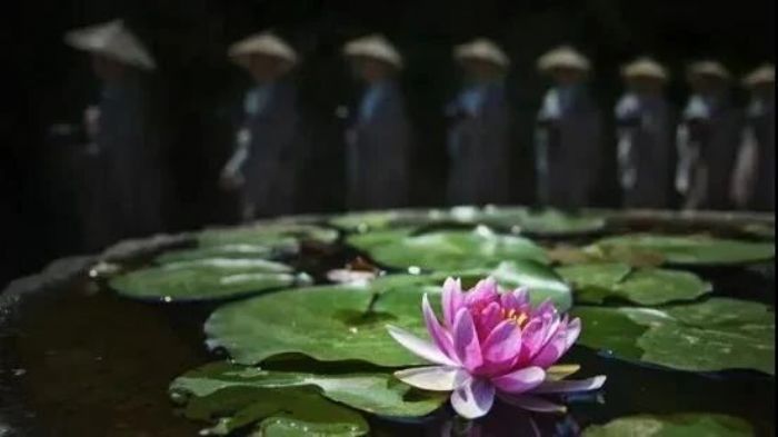 人生,既为过客,何须执着! 人生,既为过客,何须执着!