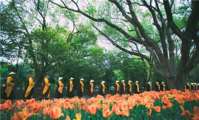 ��¿�ʾ��ʲô����Ե��