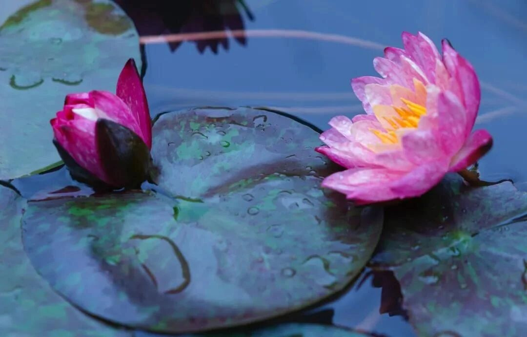 ��������ҵ�ϵķ���~