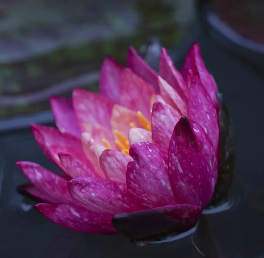 ���ն࣬ҵ���ԭ��������