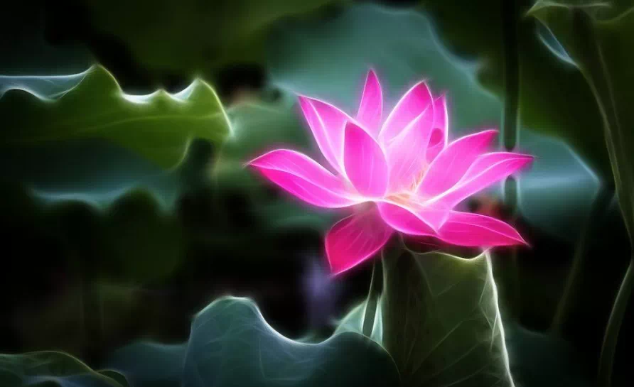 ӡ�ⷨʦ�������������ؿ���