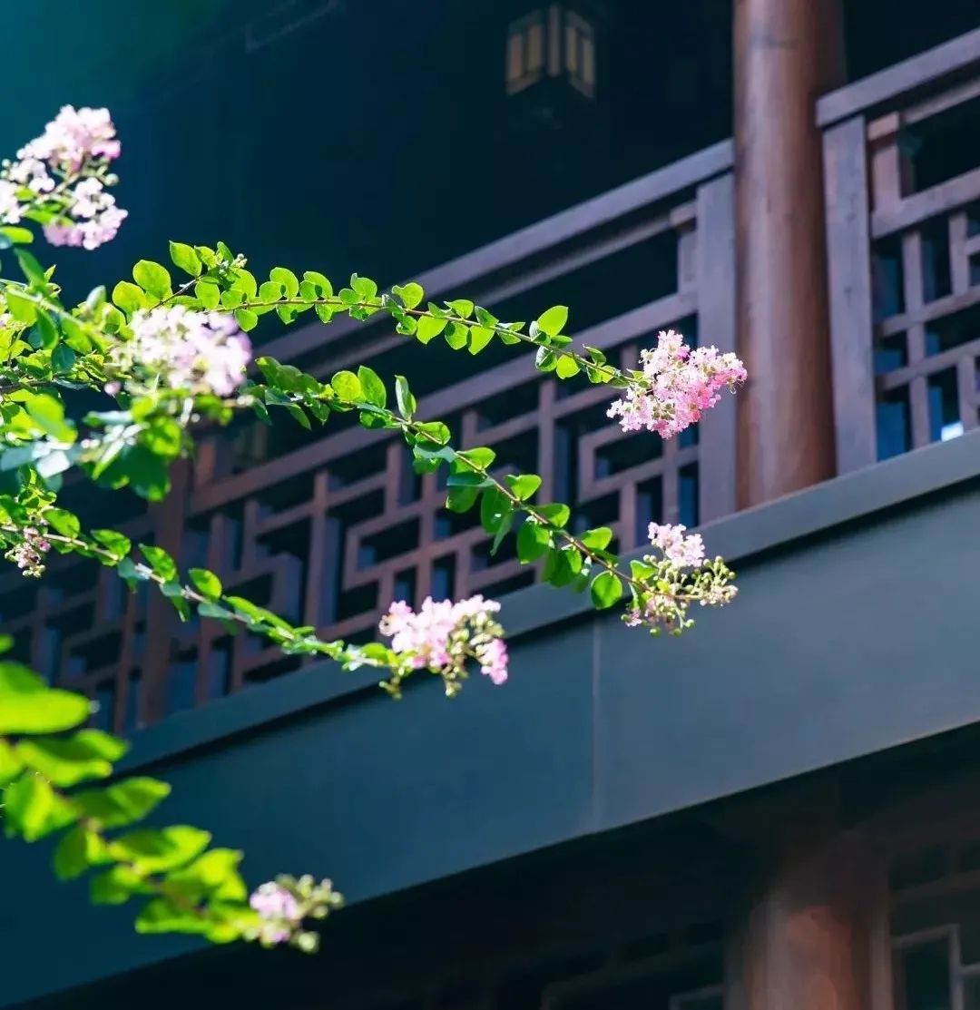 最好的方法就是“福慧双修” 最好的方法就是“福慧双修”