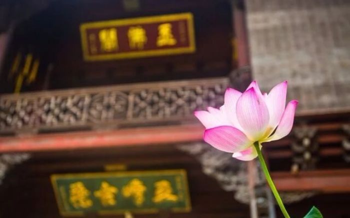 《金刚经》与清净心的培养 《金刚经》与清净心的培养