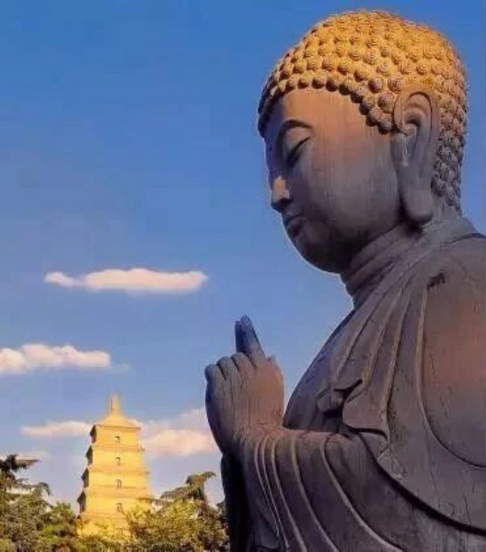 《金刚经》与清净心的培养 《金刚经》与清净心的培养