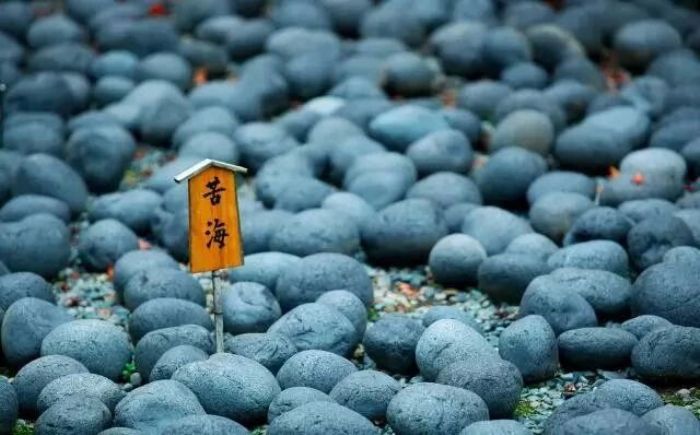 《金刚经》与清净心的培养 《金刚经》与清净心的培养