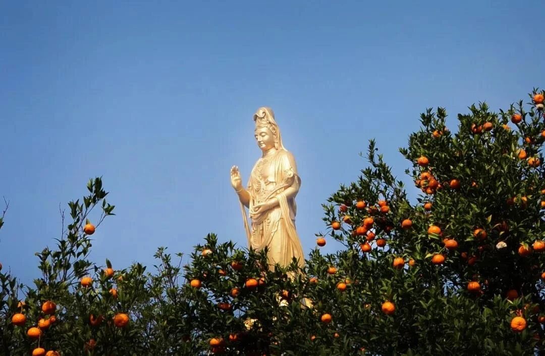 印光法师:欲子女贤善,非积德积功,利人利物不可 印光法师:欲子女贤善,非积德积功,利人利物不可