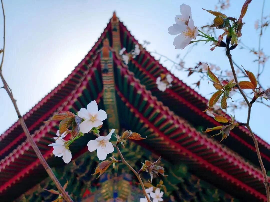 身在红尘,何不让心出家? 身在红尘,何不让心出家?