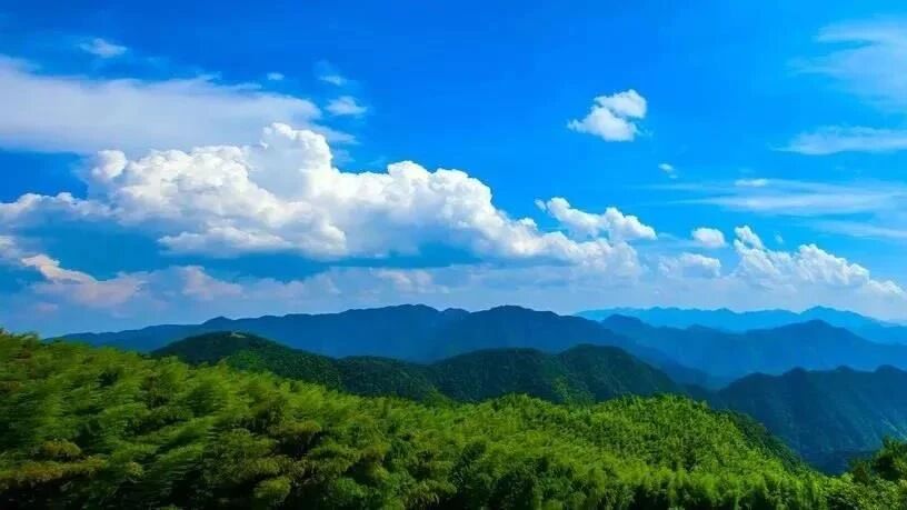 �˷粻���ģ������޷���