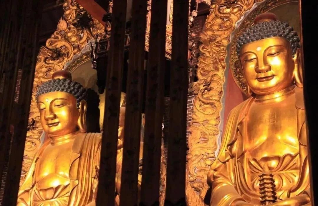 ����������ʮ֮�˾ţ�ʹ���ʱ�����ǵ��׸���ô���أ�