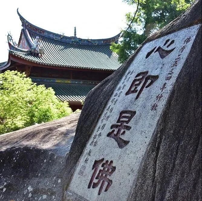 不离贪嗔痴,如何得解脱 不离贪嗔痴,如何得解脱