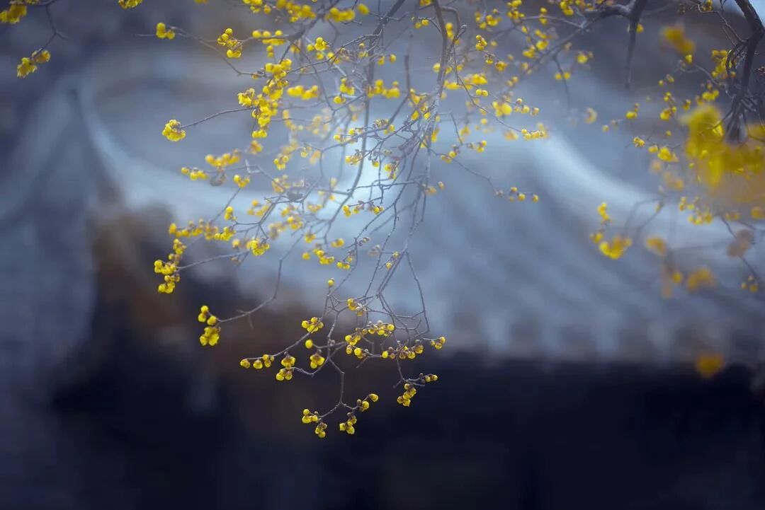 ����ֻ��һ�����Σ����������