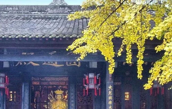 不是不起念头,而是不去追逐念头…… 不是不起念头,而是不去追逐念头……