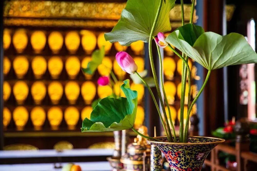 Զ�뽹�ǡ��������ڵ��ĸ�������