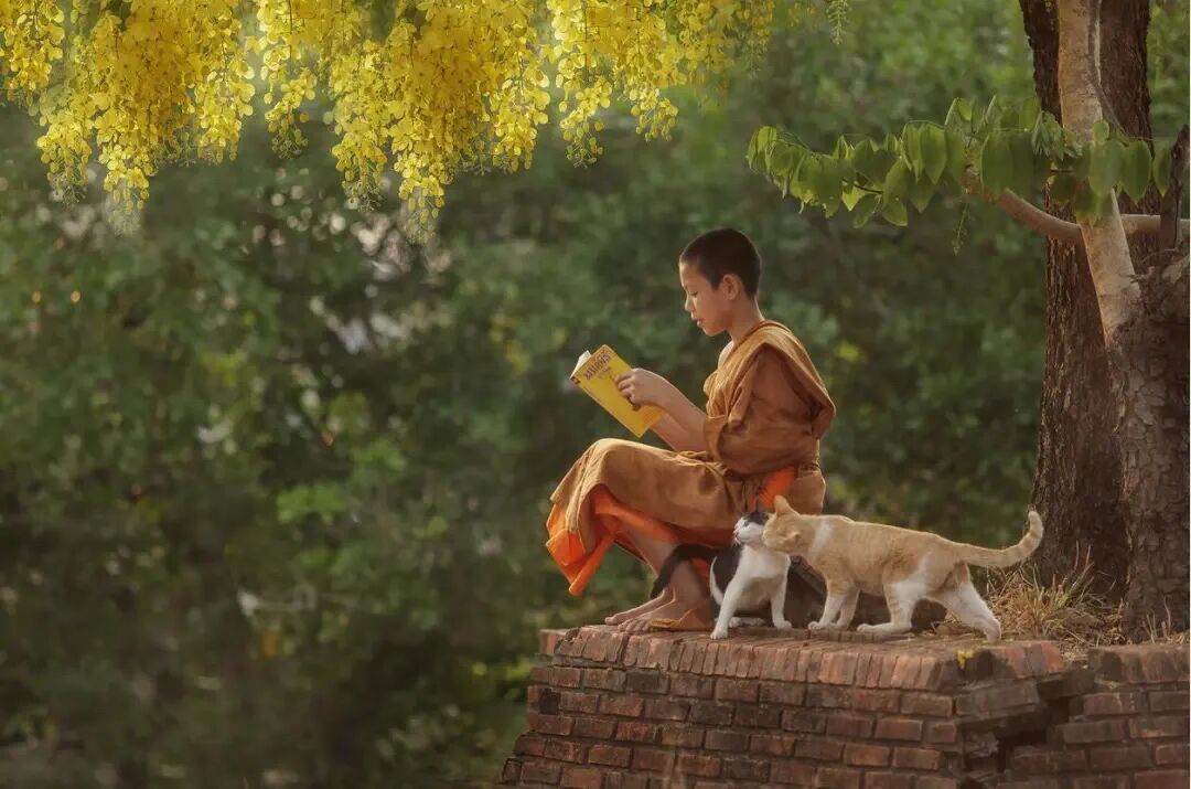 “听人劝吃饱饭”,这些佛门的恳切劝勉,你听过多少? “听人劝吃饱饭”,这些佛门的恳切劝勉,你听过多少?