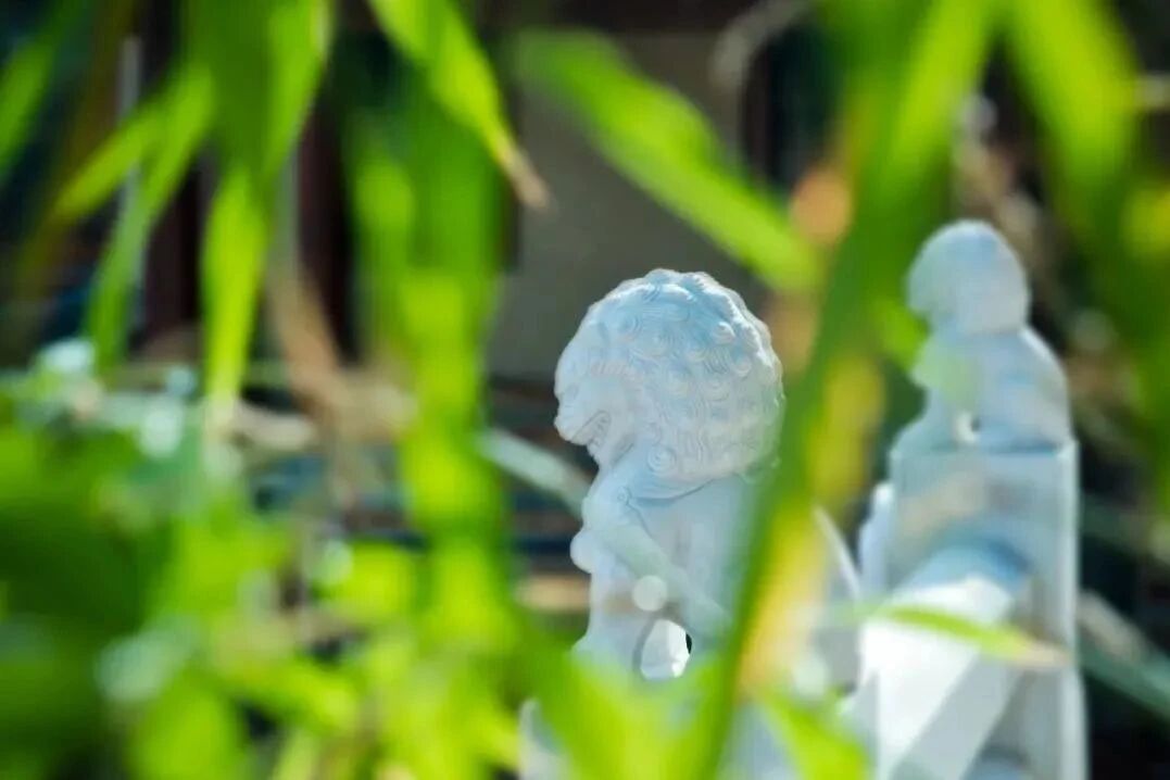 ӡ�ⷨʦ������֮�ڣ���Ե���磬����Ԥ��һ��������֮��