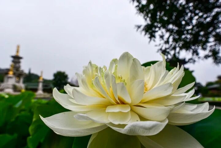 修行的重点是改变自己的心 修行的重点是改变自己的心