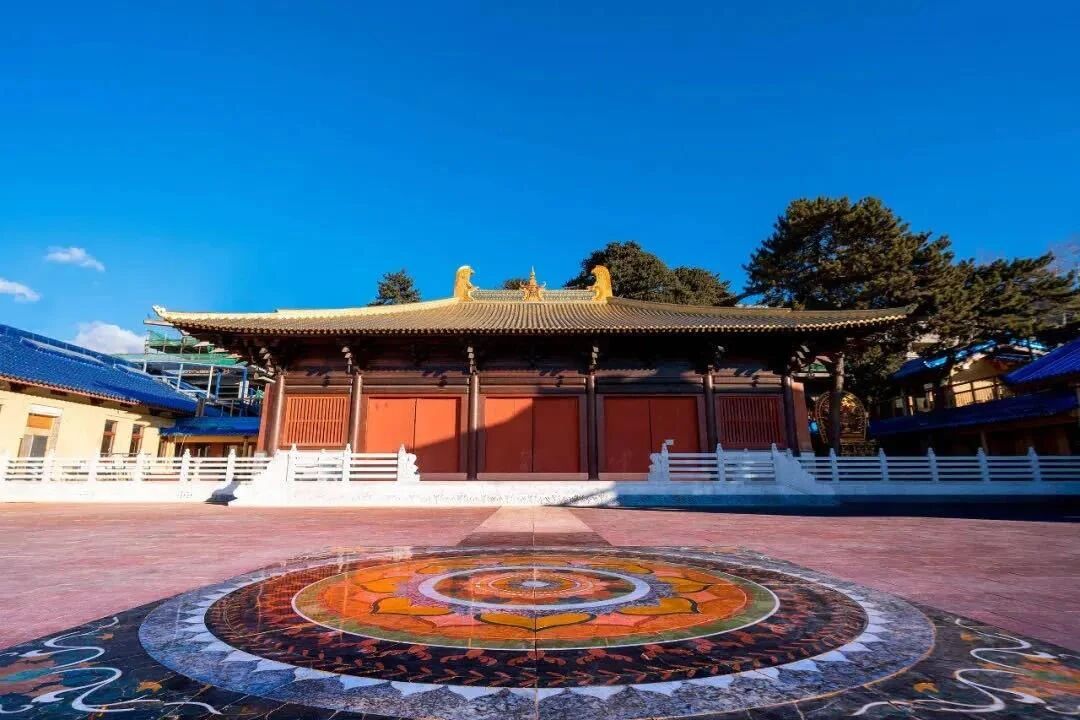 �q���ʦ������֮�У��޷���������ʱ���֣��չ��޳�