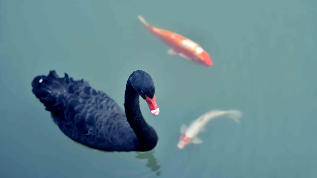 �����������������㶼�ƿ�����