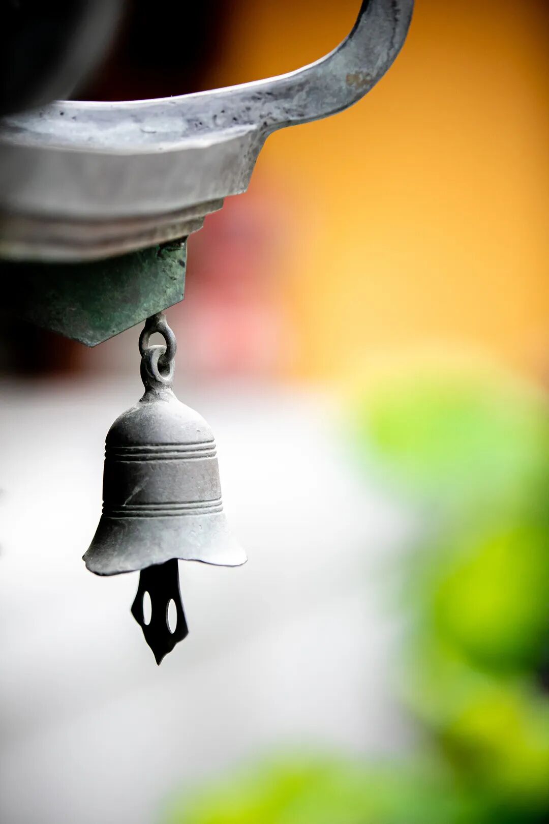 �����������������㶼�ƿ�����