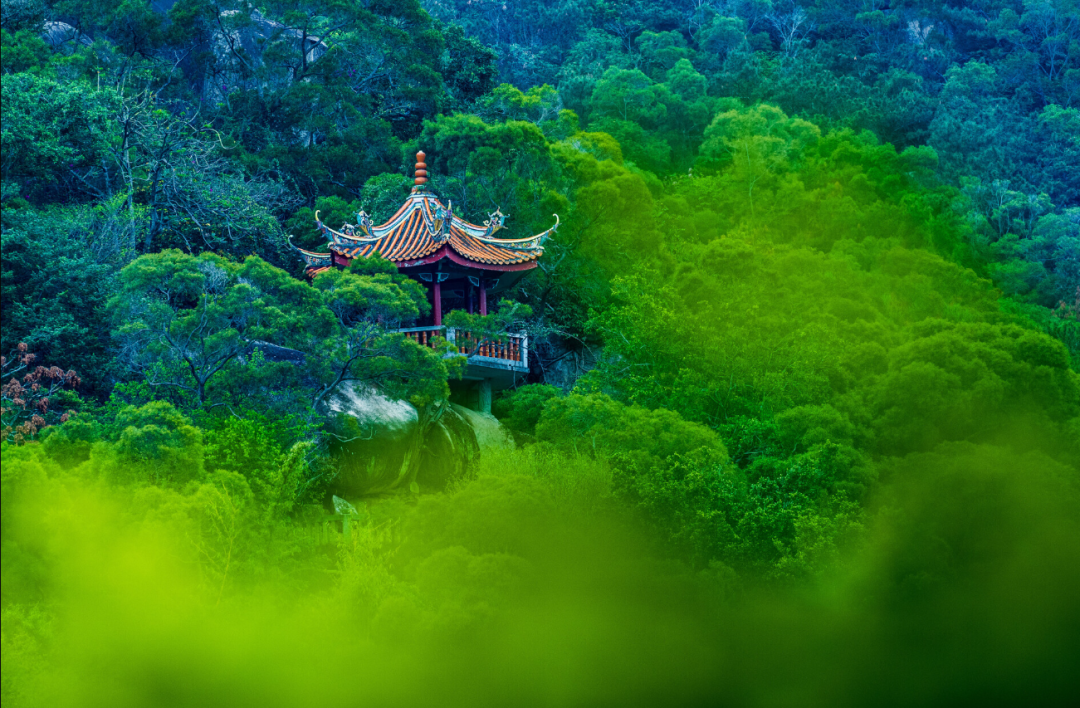 无论身处何境,我们都应常怀感恩心念佛 无论身处何境,我们都应常怀感恩心念佛