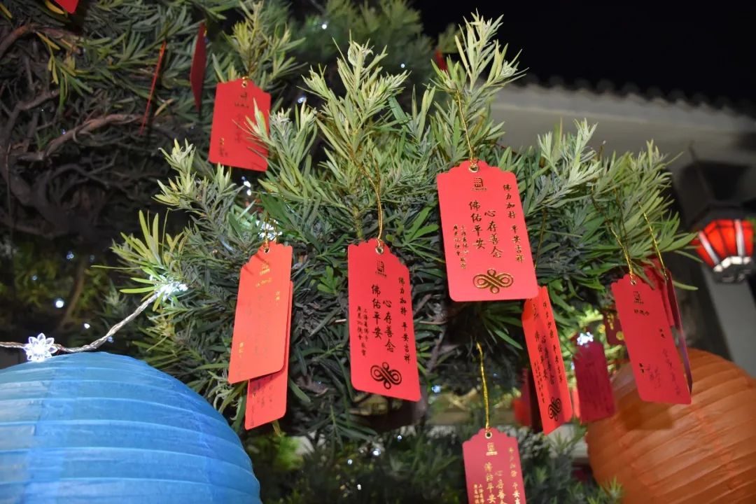 学佛怎么保持不退转? 学佛怎么保持不退转?