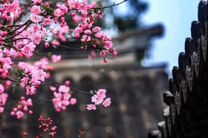 ���ط���С�����������ʵ����