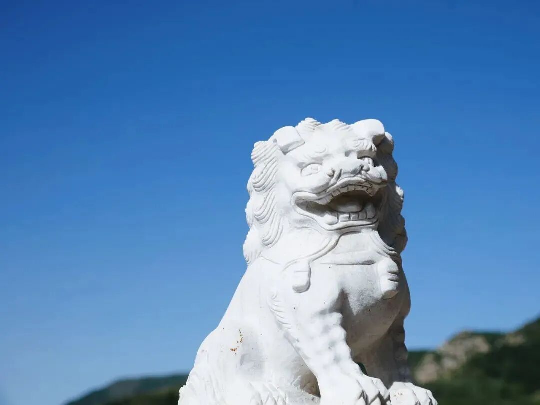 ��ڹ��ʦ|�ร������������Ե������Ե