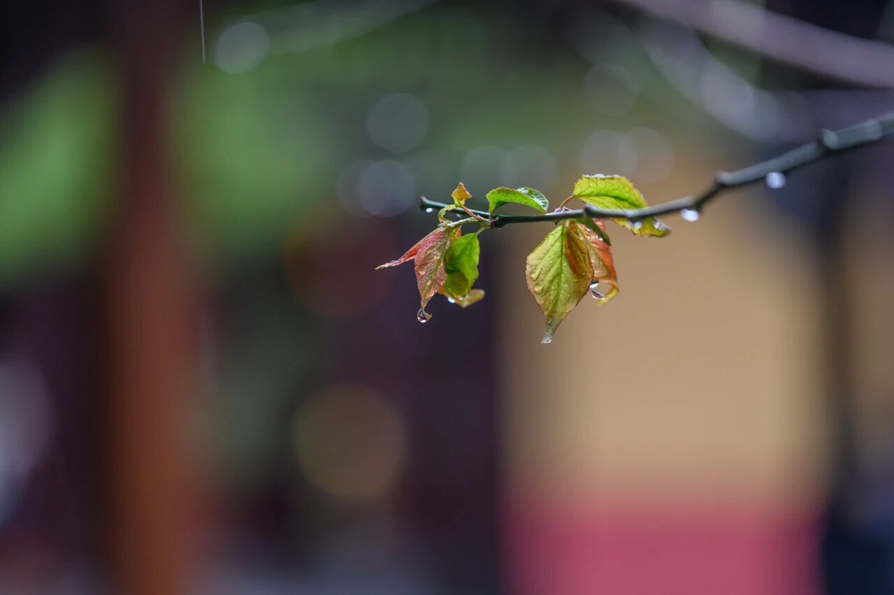 ����������Ϊɶһ���»��ǡ�������ƪ����