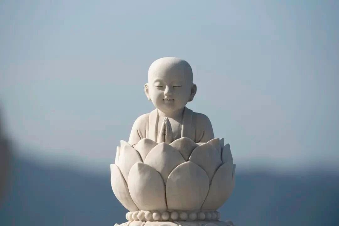 摄心,永远摄住的是自己的心 摄心,永远摄住的是自己的心