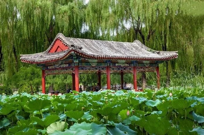 ��Ϊ�޳�������ϣ����