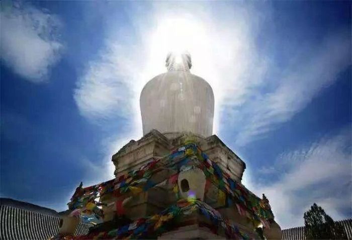 一切万法不离自性,何期自性能生万法 一切万法不离自性,何期自性能生万法