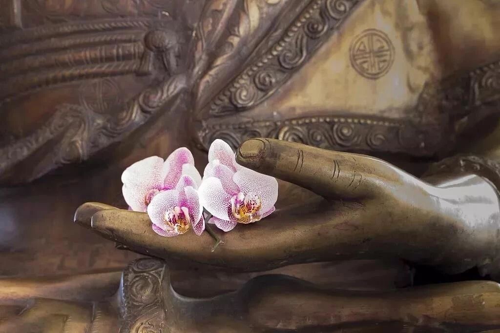 �����ı��ʾ�����ʶ������