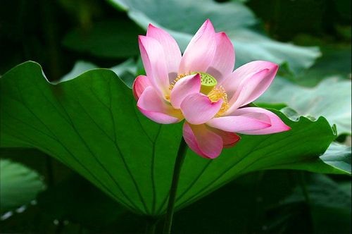 ���ñ���������������䷶������ά���Ͼ�ʿ