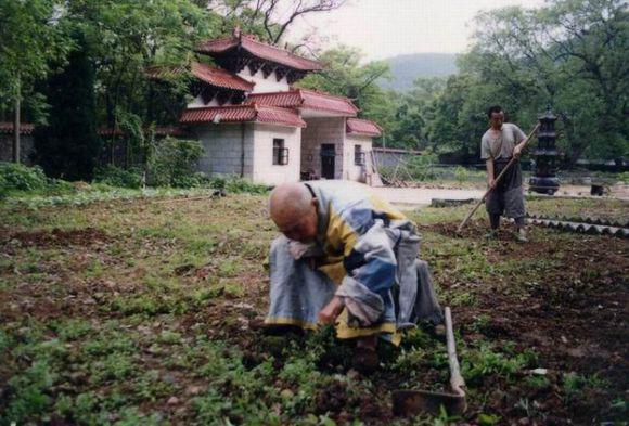传临济宗第四十四世体光本达禅师真赞——宏琳法师 传临济宗第四十四世体光本达禅师真赞——宏琳法师