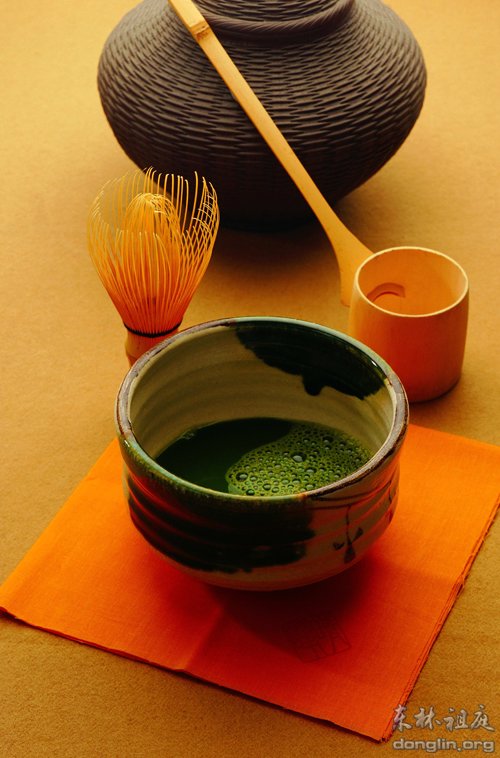 ��ѧ�⹹��ʳ_������ͥ