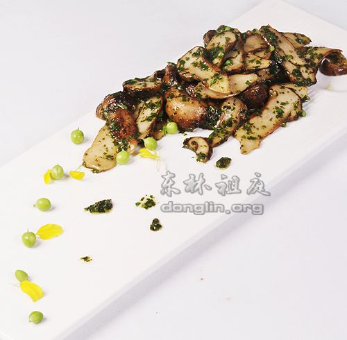 ������ʳ---_�������£����՟h����_������ͥ