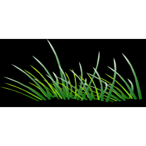 ���ﲻ��������