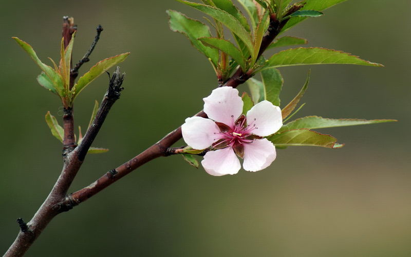 ���¡��羵����ˮ