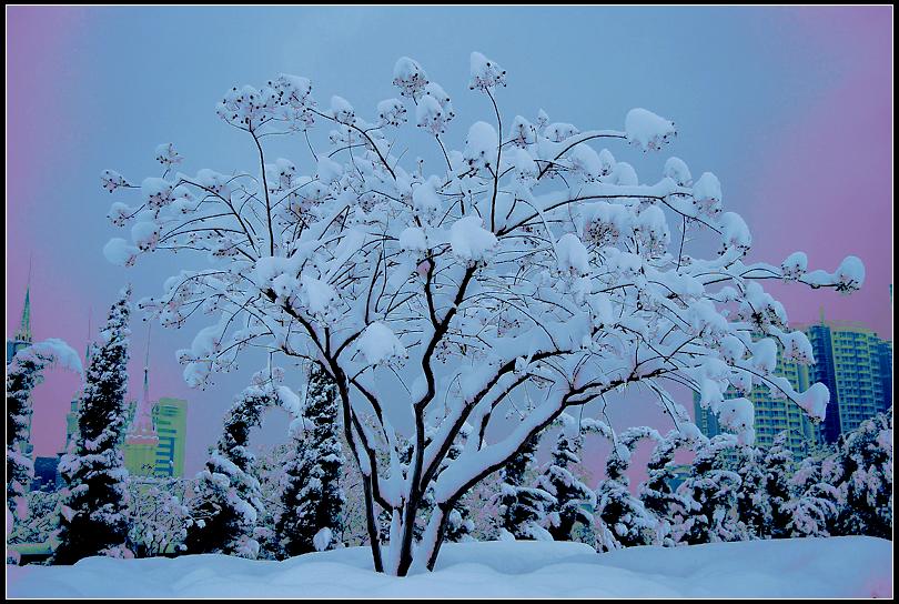 �����е�ħ������