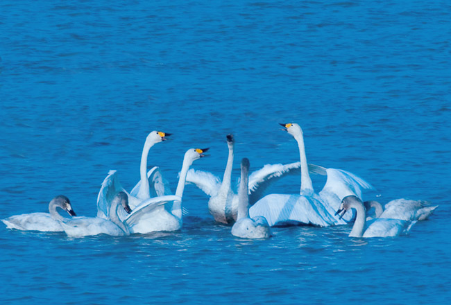 怎样化解鬼神附体 怎样化解鬼神附体