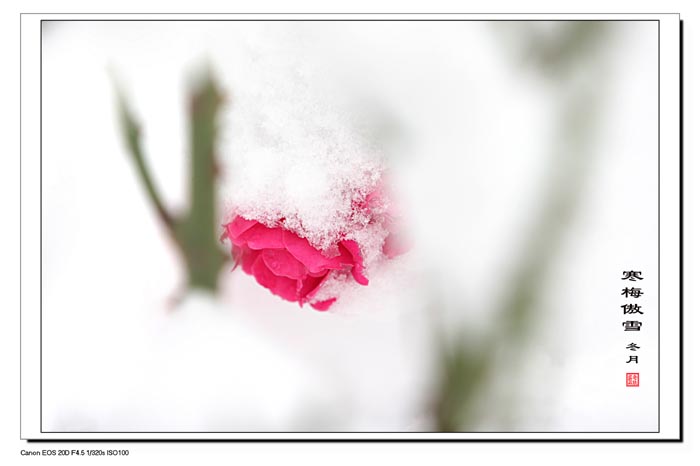 �ӱ����廪���ҵĺ��дӱ����廪���ҵĺ�������