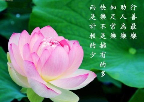 ��ͷ�����Լ�ʧ�ص�������Ǹ