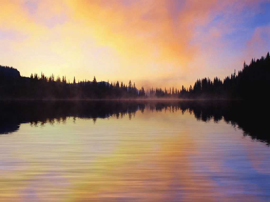 �ϡ�_����