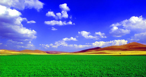 ��ʮ����������