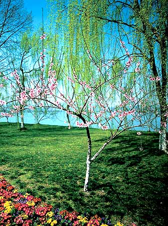 ���������롰������